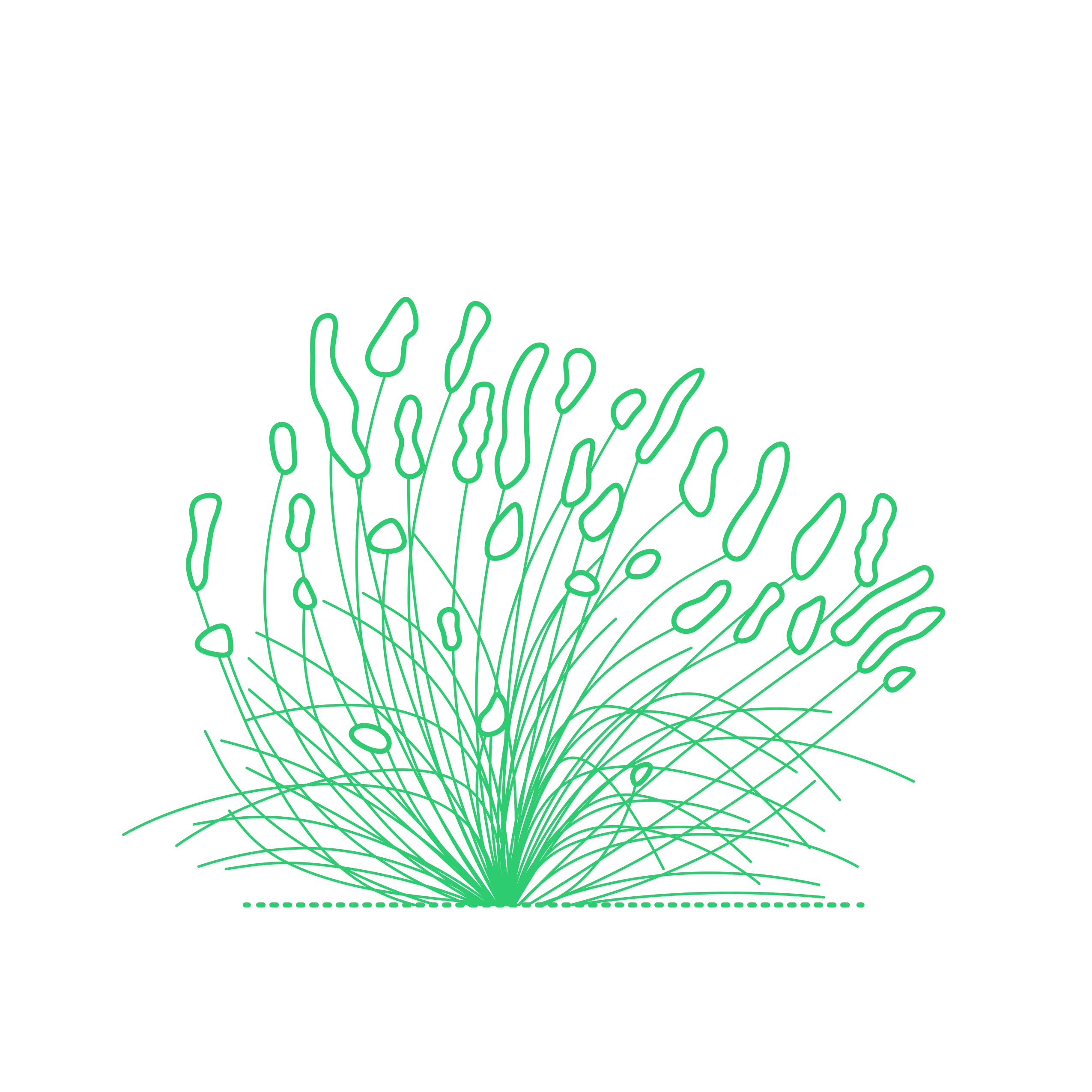 Plants Bushes Lavender Sketch Style Svg Vector Free Vectors
